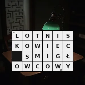 Rozwiązanie krzyżówki: ogólne określenie klas okrętów których podstawową cechą jest przystosowanie do bazowania na nich śmigłowców - lotniskowiec śmigłowcowy | hasła, synonimy i podpowiedzi Hasło krzyżówkowe ogólne określenie klas okrętów których podstawową cechą jest przystosowanie do bazowania na nich śmigłowców - lotniskowiec śmigłowcowy – rozwiązanie, synonimy, podpowiedzi i definicje krzyżówkowe